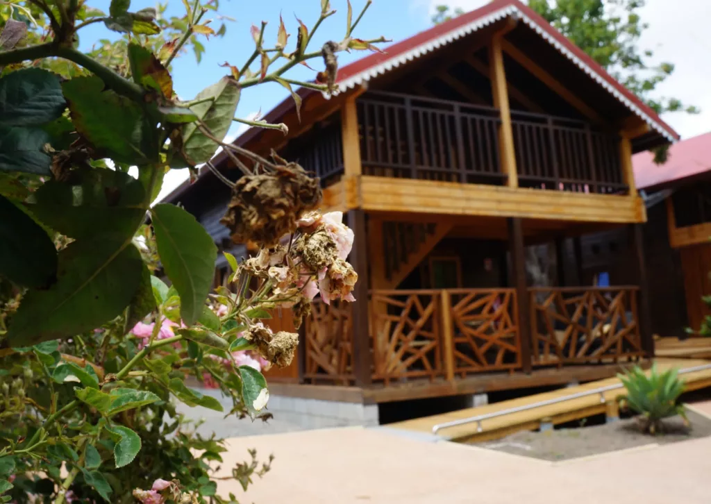 Détail floral avec vue sur le chalet - Les 3 Chalets à Cilaos